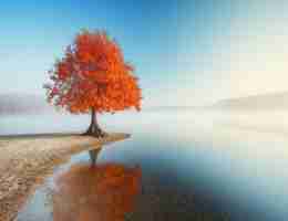 Kubernetes权‌威‍指‍南﻿ 第​6版‍上‌下‍两​册‍pdf